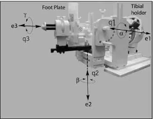 Fig. 1. The ankle loading device (ALD) used to maintain the ankle in various loaded and unloaded conﬁgurations in the MR scanner.