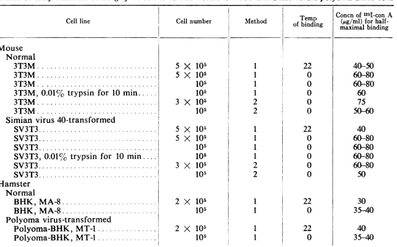TABLE 2. Half-maximal binding ofi5I-con A to 3T3 versus SV-3T3 anid BHK versus polyoma-BHK cells