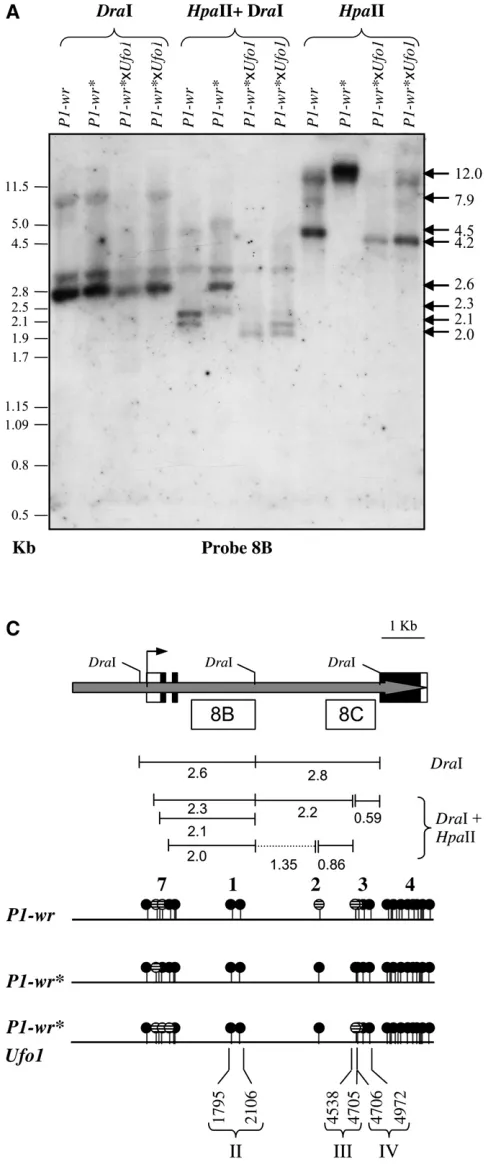 Figure 5.—DNA methylation modiﬁcations of the coding