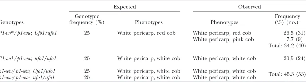 Figure 7.—DNAmethylationpatternandcobglumepheno-
