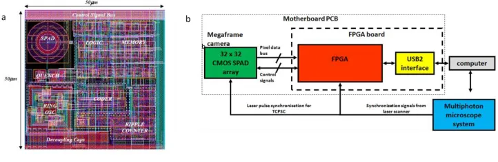 Figure 2 (a) Single pixel architecture with SPAD detector and associated logic, memory and timing circuitry
