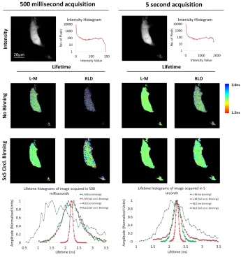Figure 5: Comparing lifetime analysis techniques for image acquisition of live cells at high speed