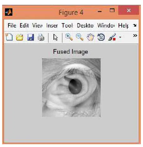 Fig 6: SURF Feature Extraction 