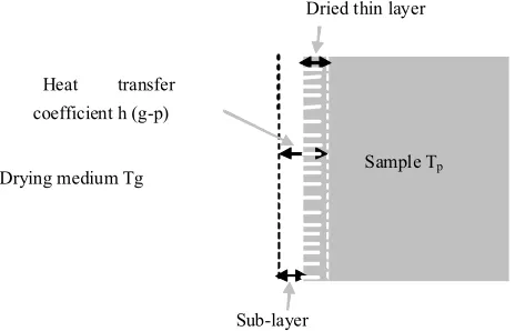 Figure 1. A schematic diagram for the heat transfer boundary 