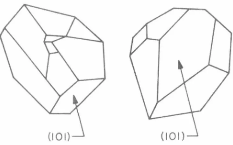 Figure  1 . 2  Typical  habits  ot  r-m o n oc linic  selenium  crystals.  Thl'  (101)  faces  are  usually  thP  most  well  developed  ones