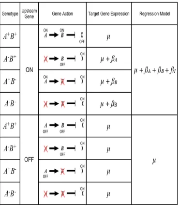 Figure 2.4 Modeling the relationship A is an upstream enhancer of B, 