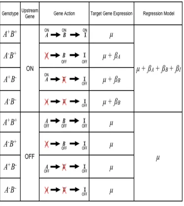 Figure 2.5 Modeling the relationship A is an upstream enhancer of B, 