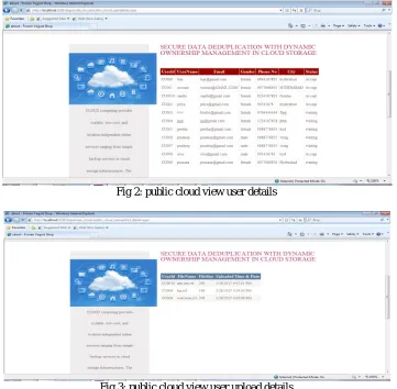 Fig 2: public cloud view user details  