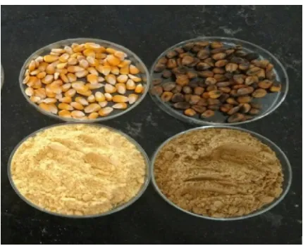 Figure 2.1: Flour from fine and damaged Corn 