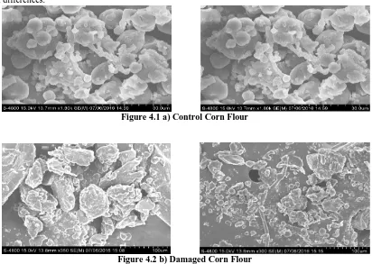 Figure 4.2 b) Damaged Corn Flour              