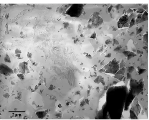 Figure 2. High resolution transmission electron micrographs of nanocomposite materials showing the components having variable size and structure down to   the nanometer level