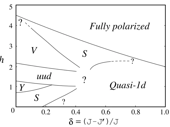 Figure 3.9: Variational phase diagram for the anisotropic 6 × 6 cluster in magneticﬁeld