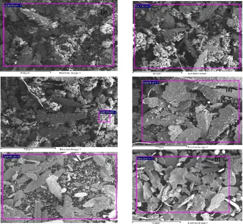 Fig. 7 SEM micrograph of wear debris of titanium against steel (a) at sliding speed 0.38m s-1 and normal load 20N, (b) at 0.38m s-1 and 50N, (c) at 0.5m s-1 and 50N, (d) at 0.86m s-1 and 30N, and (e) at 1.2m s-1 and 50N, and (f) at 1.5m s-1 and 30N