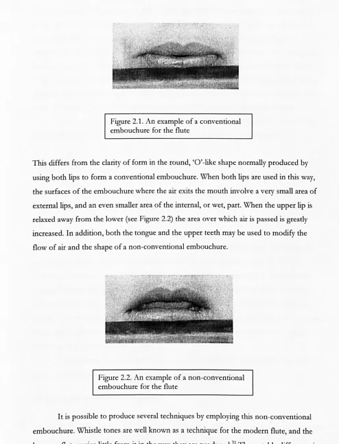 Figure 2.1. An example of a conventional embouchure for the flute 