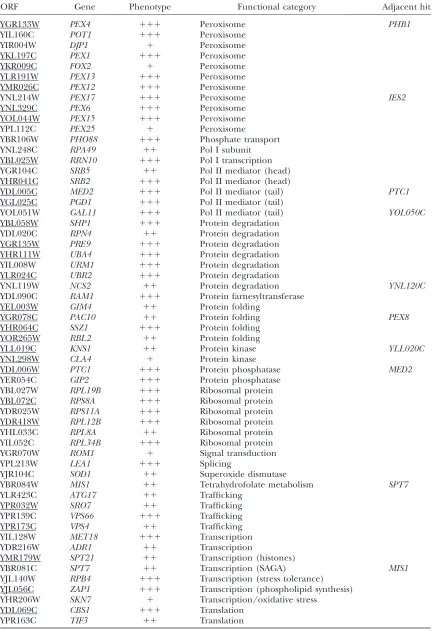 TABLE 1