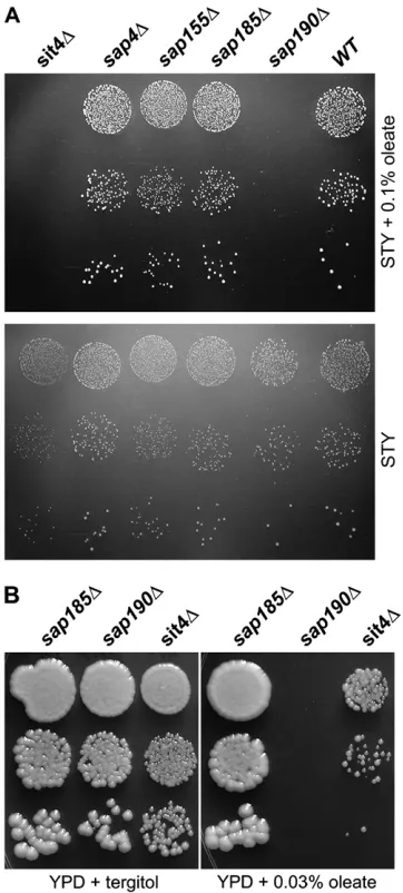 Figure 7.—Oleate and palmitoleate differ in ability to in-