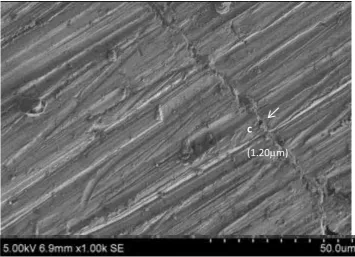 Fig. 77:  Measurement of microgap at point d at 500x (Group I) 