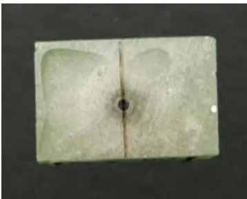 Fig.59: Resin block secured on sectioning platform of water jet sectioning 