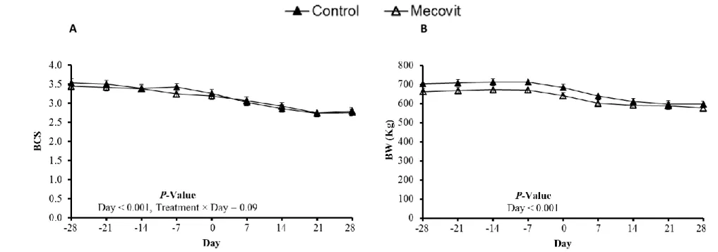 Figure 3-4: Body condition score and body weight patterns of dairy cows in the transition period