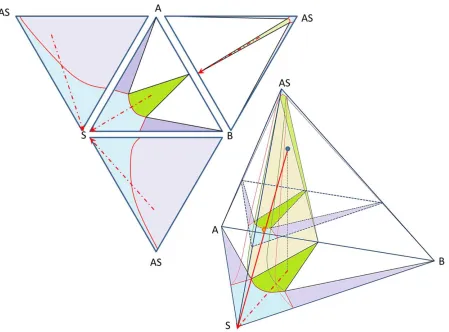 Figure 8. Quaternary phase diagram of a co-crystallization system in solvent (S) – anti-solvent 
