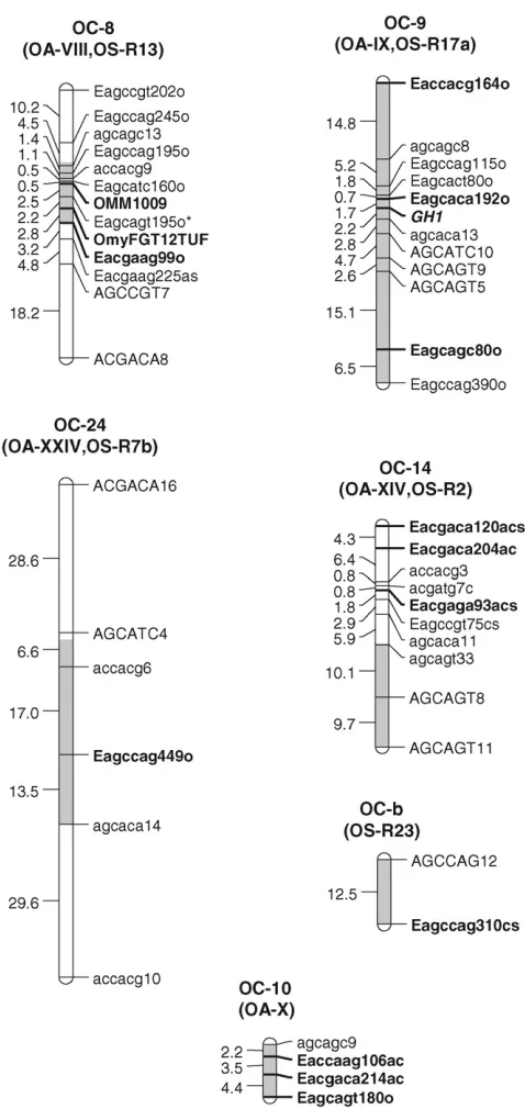 TABLE 1Development rate means for clonal lines and hybrids