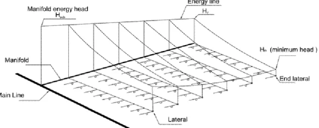 Figure  1:  Schematic  layout  of  a  typical  drip  irrigation  subunit;  a)    subunit  consist  of  manifold,  laterals  and  microtubes,  and  b)    varying  length  microtubes  as  emitters  in  one  side  of  a  lateral,  details  A  and  B  show  th
