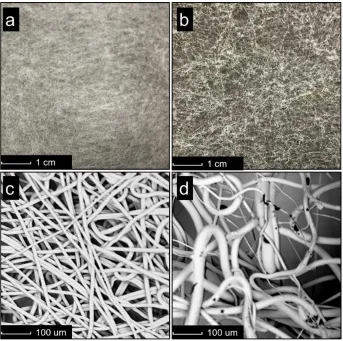 Figure 2. 2 Digital camera photos (a, b) and scanning electron microscopy (SEM) images (c, d) of fabricated PLA samples (a, c) and calcium phosphate loaded samples (b, d)