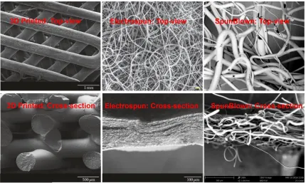 Figure 2. 3 Comparison of 3D printed, electrospun and Spunblown fabricated materials by scanning electron microscopy (SEM)