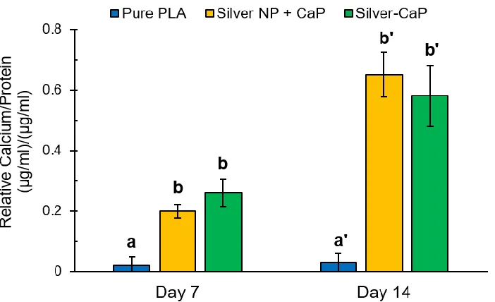 Figure 2. 18  Quantified calcium accretion normalized to BCA protein content. Different letters indicate there is a significant difference between the samples (p < 0.05)