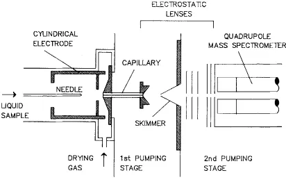 Figure 2.3. Electrospray mass spectrometer apparatus [18]. 