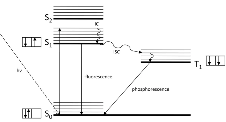 Figure 2.4. Jablonski diagram showing electron excitation pathways. 