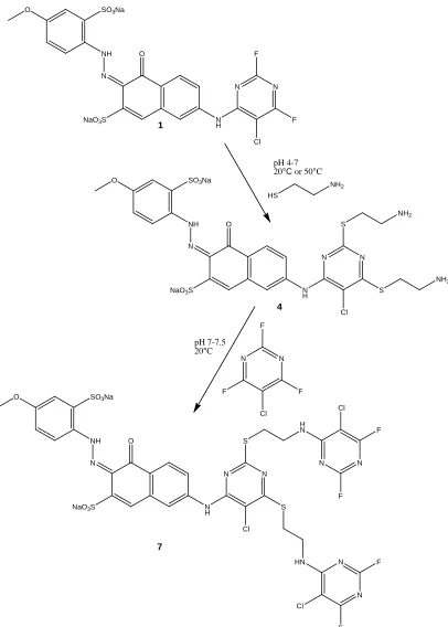 Figure 2.13. Proposed scheme for Reactive Red 123 modification. 