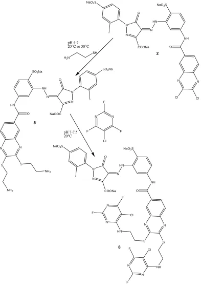 Figure 2.14. Proposed scheme for Reactive Yellow 25 modification. 