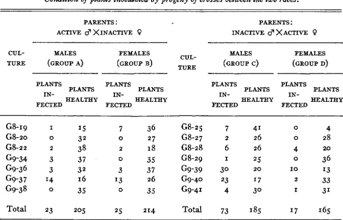 TABLE 3 