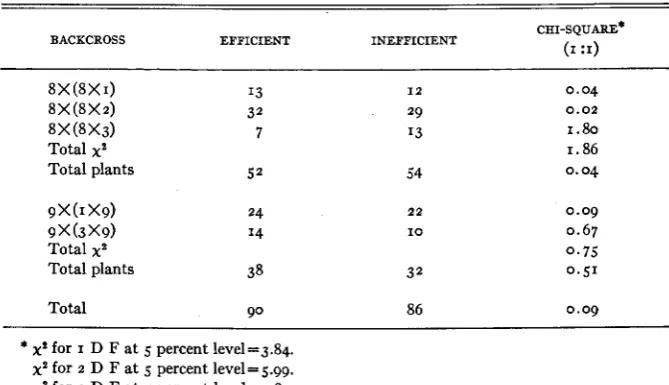 TABLE 5 