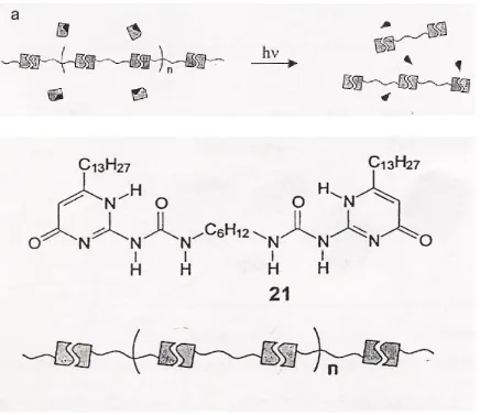 Figure 2.5. Example Supramolecular Polymer Array Utilizing UPy 