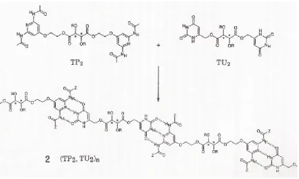 Figure 2.6. Hydrogen Bonded Array Utilizing Multiple H-Bonds 