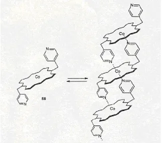 Figure 2.8. Formation of Coordination Polymers from Porphyrin (from [7]). 