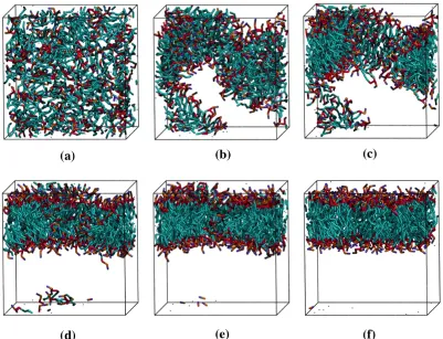 Figure 2.7:  Snapshots from a simulation of DPPC spontaneous bilayer formation.  The color scheme is:  purple (choline entity – type I); orange (phosphate group – type II); red (ester groups – type III and type IV); cyan (alkyl tail groups – type V and typ