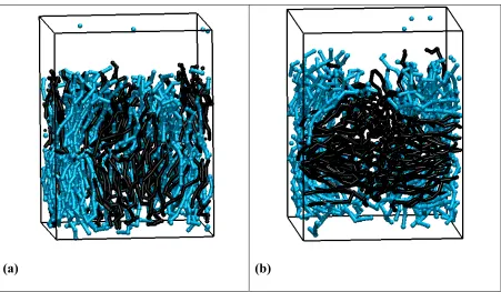 Figure 3.5:  Snapshots of the side profile of replicate 3 from System 4 at (a) 750 million collisions and (b) 1 billion collisions