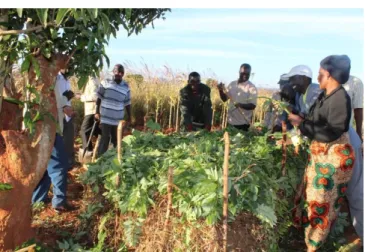 FIGURE 7    Extension workers building a compost pile during a field  training in Malawi