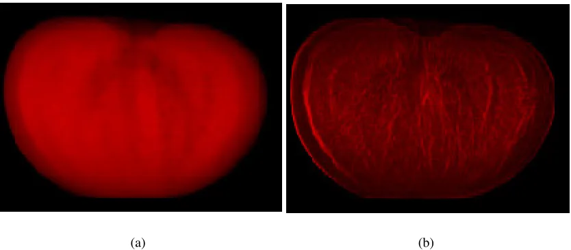 Figure 1: Volume visualizations of a tomato: (a) standard volume rendering; (b) rendering with silhouette andboundary enhancements.
