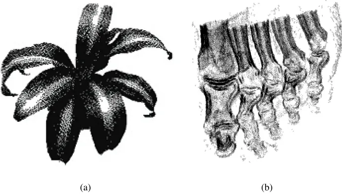Figure 8: Computer-generated stipple drawings: (a) plant stippled with Secord’s high quality method (20,000stipples); (b) stippled volume visualization with interior enhancement and silhouette curves created by Lu et al.
