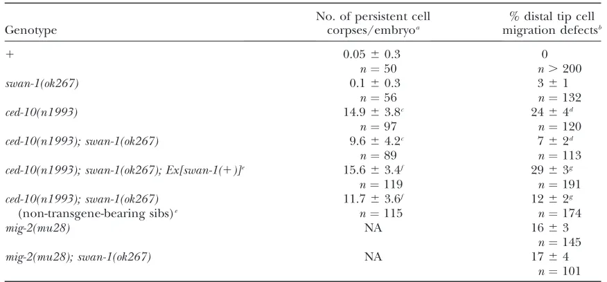 TABLE 1