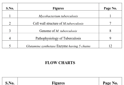 Figures Page No. 