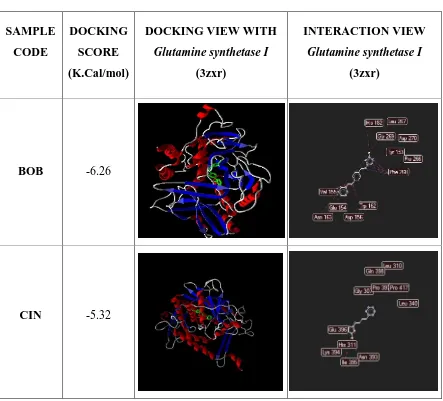 Table 3. Docking and Interaction View 