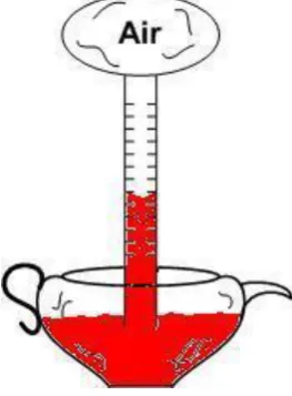 Figure 3.2 : Wine Florentine thermoscope 
