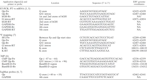 TABLE 1. Primers and TaqMan probes used in this study