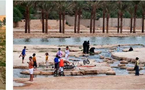 Figure 13. Public Space along the Wadi Hanifa. The parks are designed in a way that provides family compartments, in the form of semi-enclosed areas  (Source: Aga Khan Award for Architecture)  