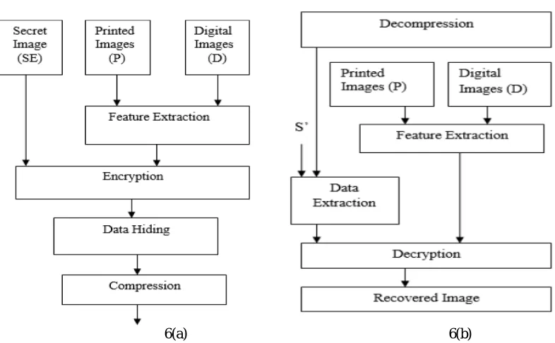 Fig 6(a): Extraction process 6(b):Decryption process 